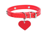 Dog Collar